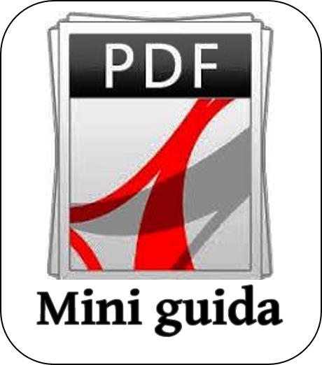 Mini guida meet